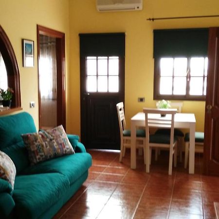 Apartamento Con Terraza Privada Y Barbacoa La Laguna  Eksteriør bilde