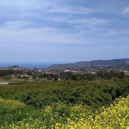 Apartamento Con Terraza Privada Y Barbacoa La Laguna  Eksteriør bilde