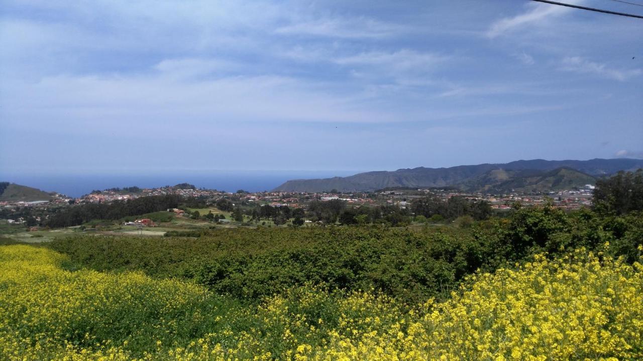 Apartamento Con Terraza Privada Y Barbacoa La Laguna  Eksteriør bilde